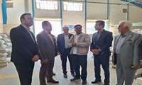 در راستای تحقق شعار سال سرمایه گذاری برای تولیدانجام شد ؛ بازدید معاون هماهنگی امور اقتصادی استانداری خراسان شمالی از شرکت خوراک دام و طیور آبزیان پارس
